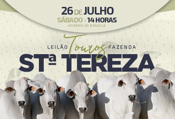 LEILÃO TOUROS FAZENDA SANTA TEREZA